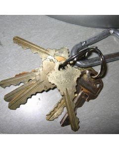 Carabiner Keyring