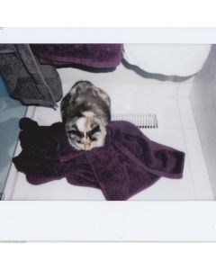 Bath Towel